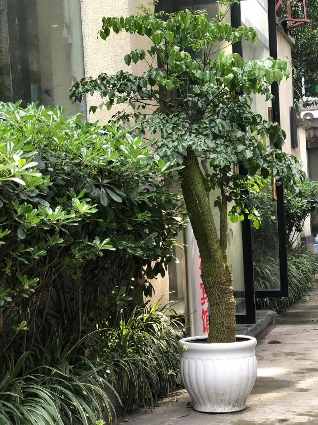 Chengdu Sichuan University Budget Hotel Exterior photo